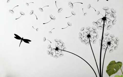 Salon - dmuchawce, mniszek lekarski